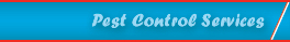Pest Control Services
